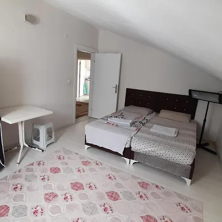Big Homee Apartment
